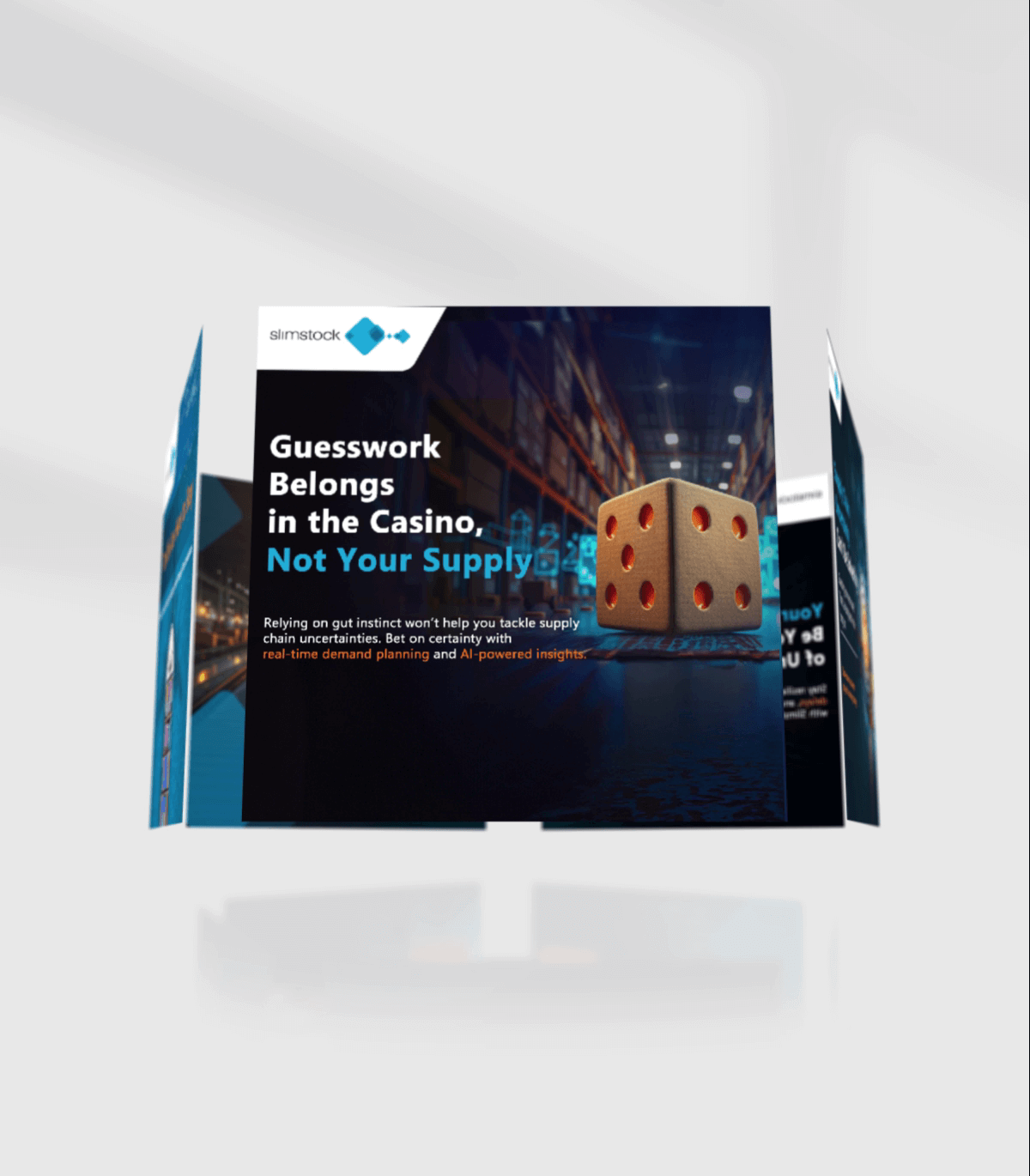 slimstock-video-thumbnail